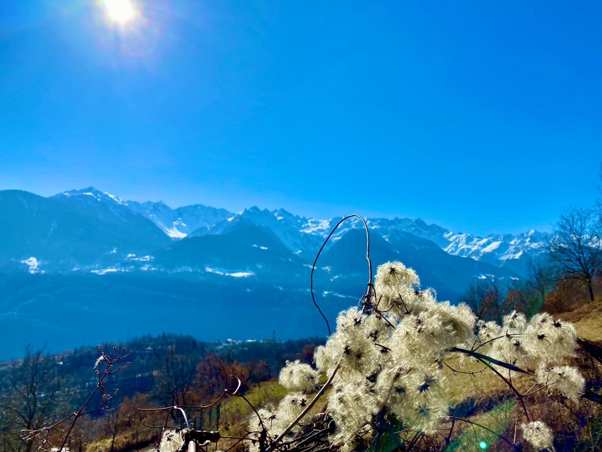 Appartamento Casa Giuliana Teglio Esterno foto